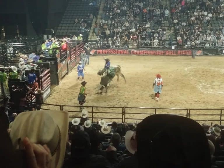 Spectacle de rodéo à Chicago découvert par les élèves du lycée L’Amandier lors de leur voyage d’étude